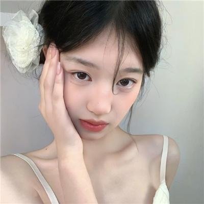 熊族之旅